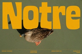 Introducing Notre Font for Modern Digital Design
